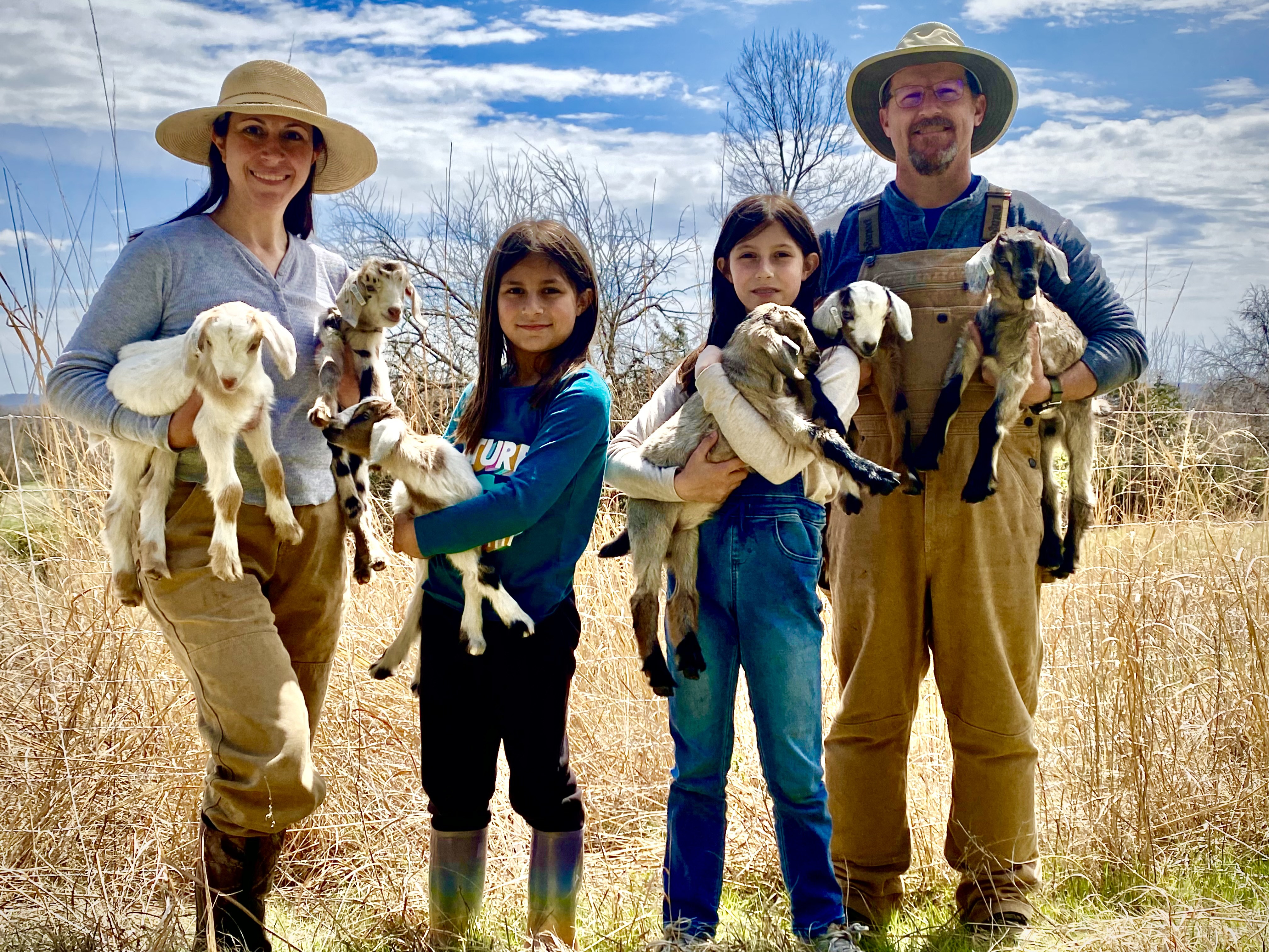 Kiko Goats at Carlson Cabin Farm